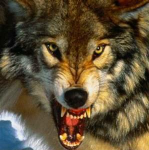 Участник UNSINKABLE ,мужчина   | НашЧат.РФ