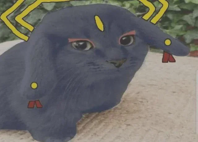 Участник TOPIIEDA ,женщина ,18, Moscow | НашЧат.РФ