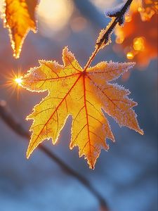 Участник AUTUMNFOX ,мужчина  Kremenki | НашЧат.РФ