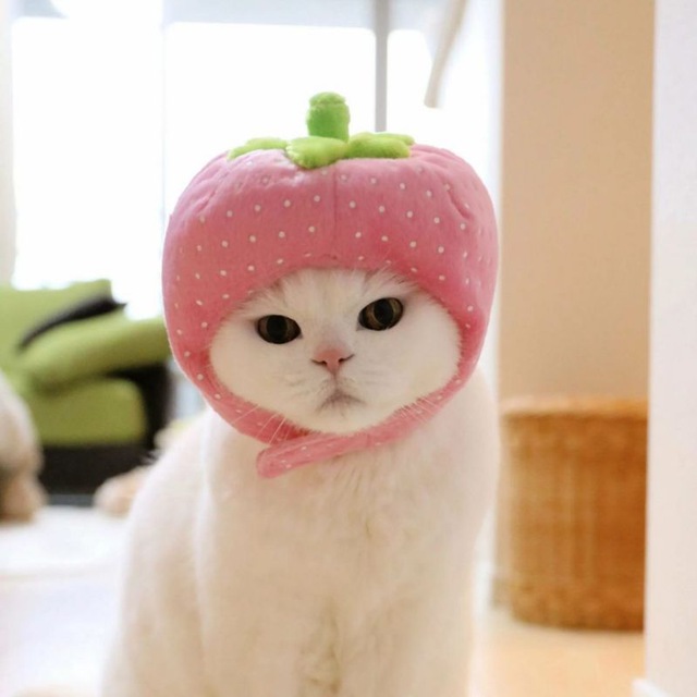 Участник KIRBY(3) ,женщина ,23,  | НашЧат.РФ