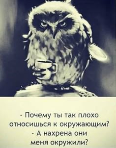 Участник OSBARN_STOUN   Tyumen | НашЧат.РФ