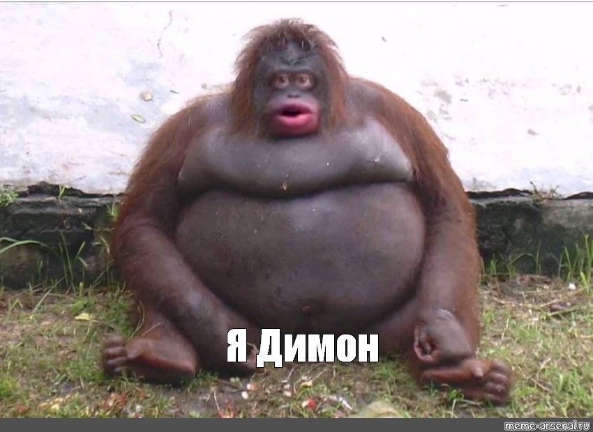 Участник DIMON(1223) ,мужчина  Tula | НашЧат.РФ