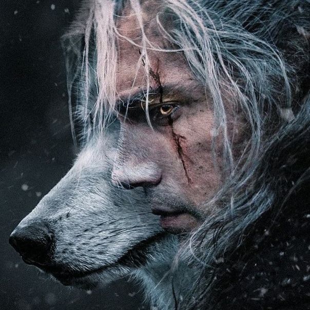 Участник WERWOLF ,мужчина   | НашЧат.РФ