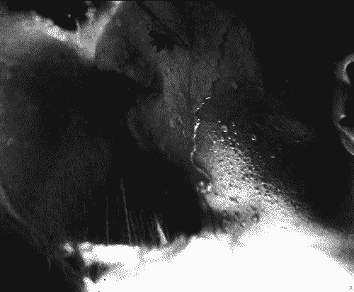 Участник KASTA ,женщина   | НашЧат.РФ