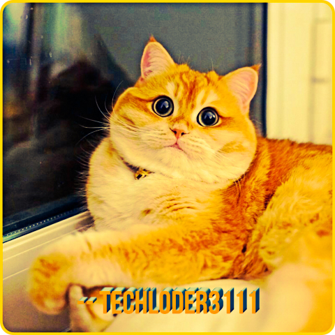 Участник TECHLODER3111 ,мужчина  StaryOskol | НашЧат.РФ