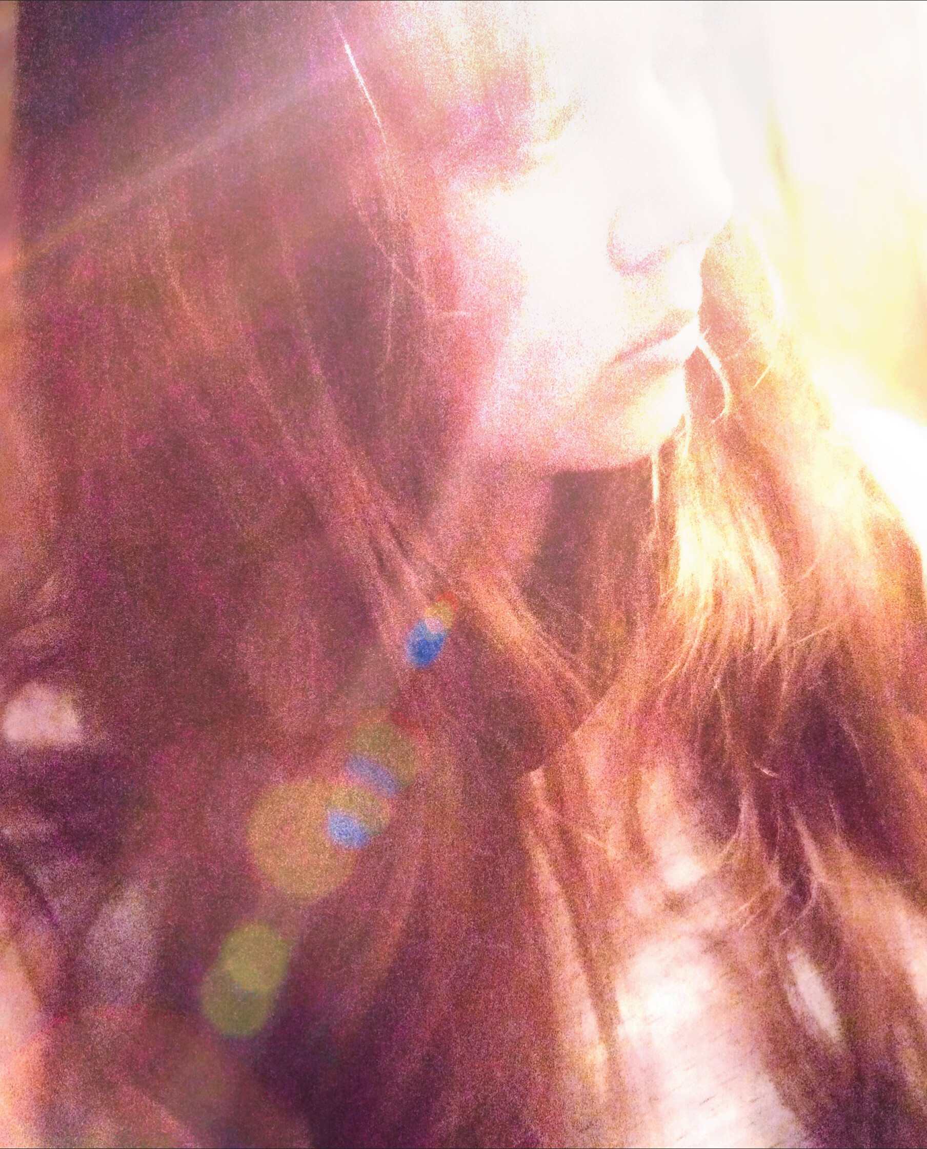 Участник MERULA_ALBA ,женщина  hidden | НашЧат.РФ