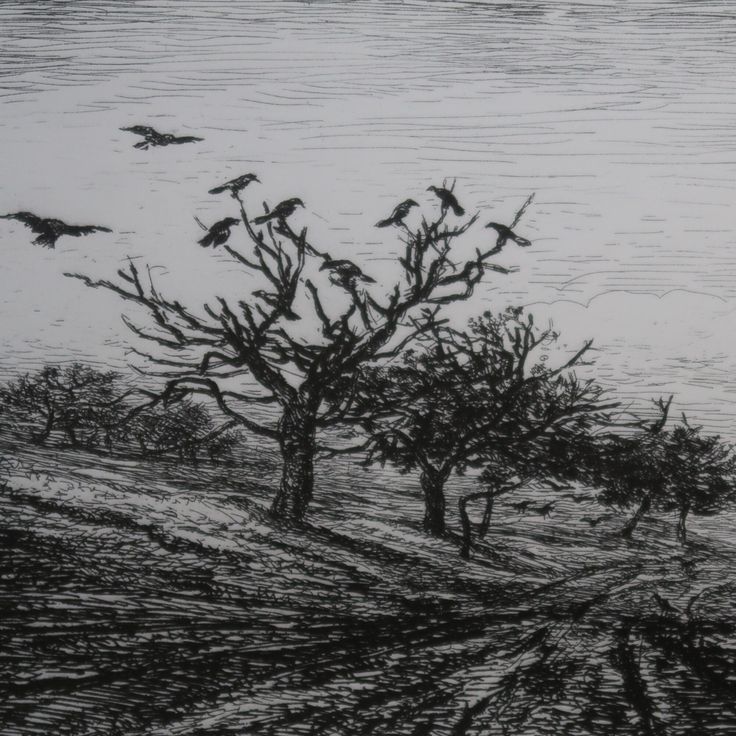 Участник KENN(619) ,мужчина ,41, Dubrovka | НашЧат.РФ