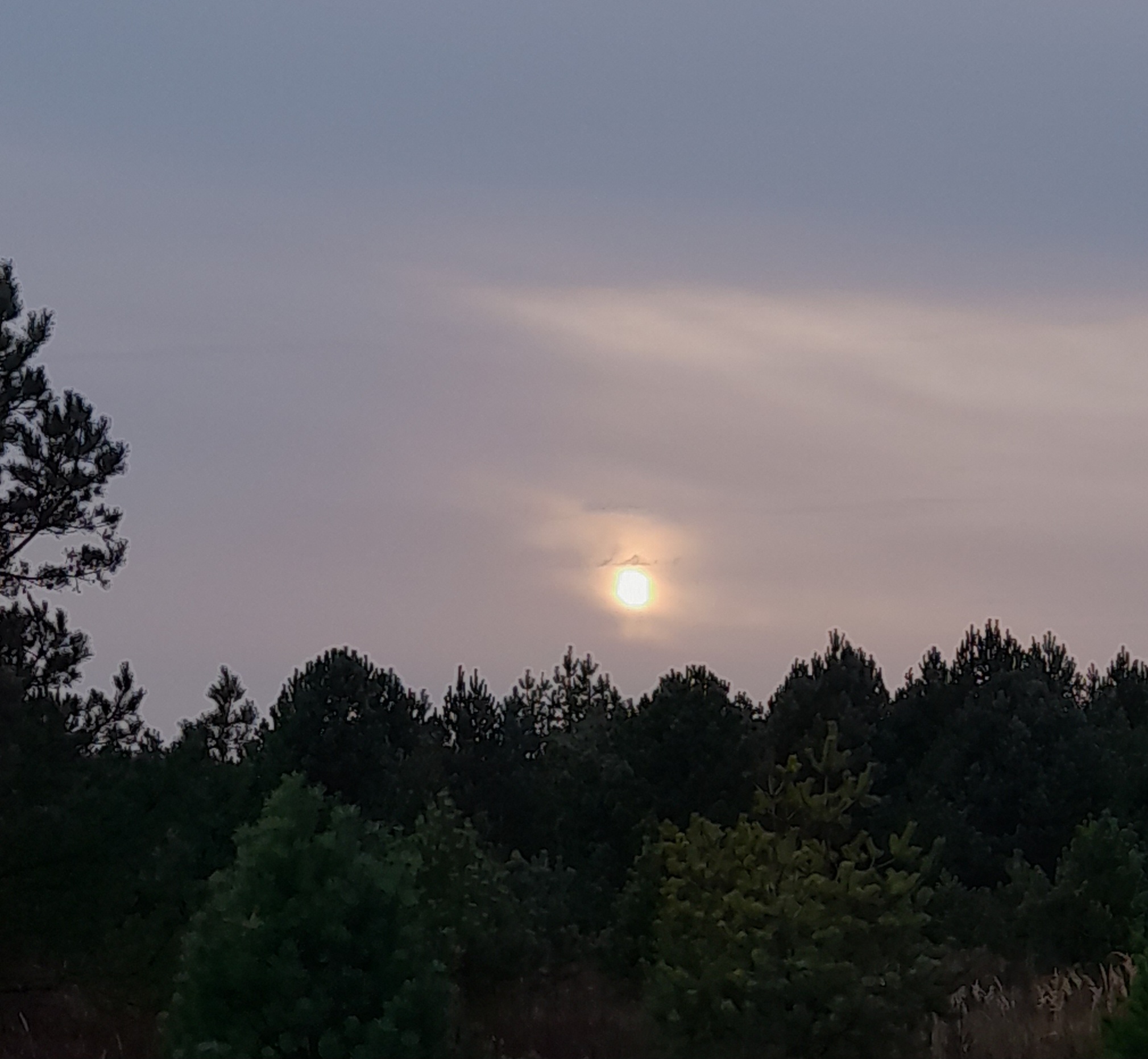 Участник KENN(619) ,мужчина ,41, Novozybkov | НашЧат.РФ