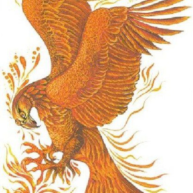 Участник UMT111 ,мужчина  Izhevsk | НашЧат.РФ