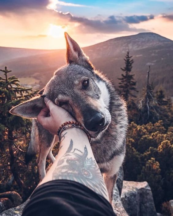 Участник ALIK_TRUMANN ,мужчина ,38,  | НашЧат.РФ