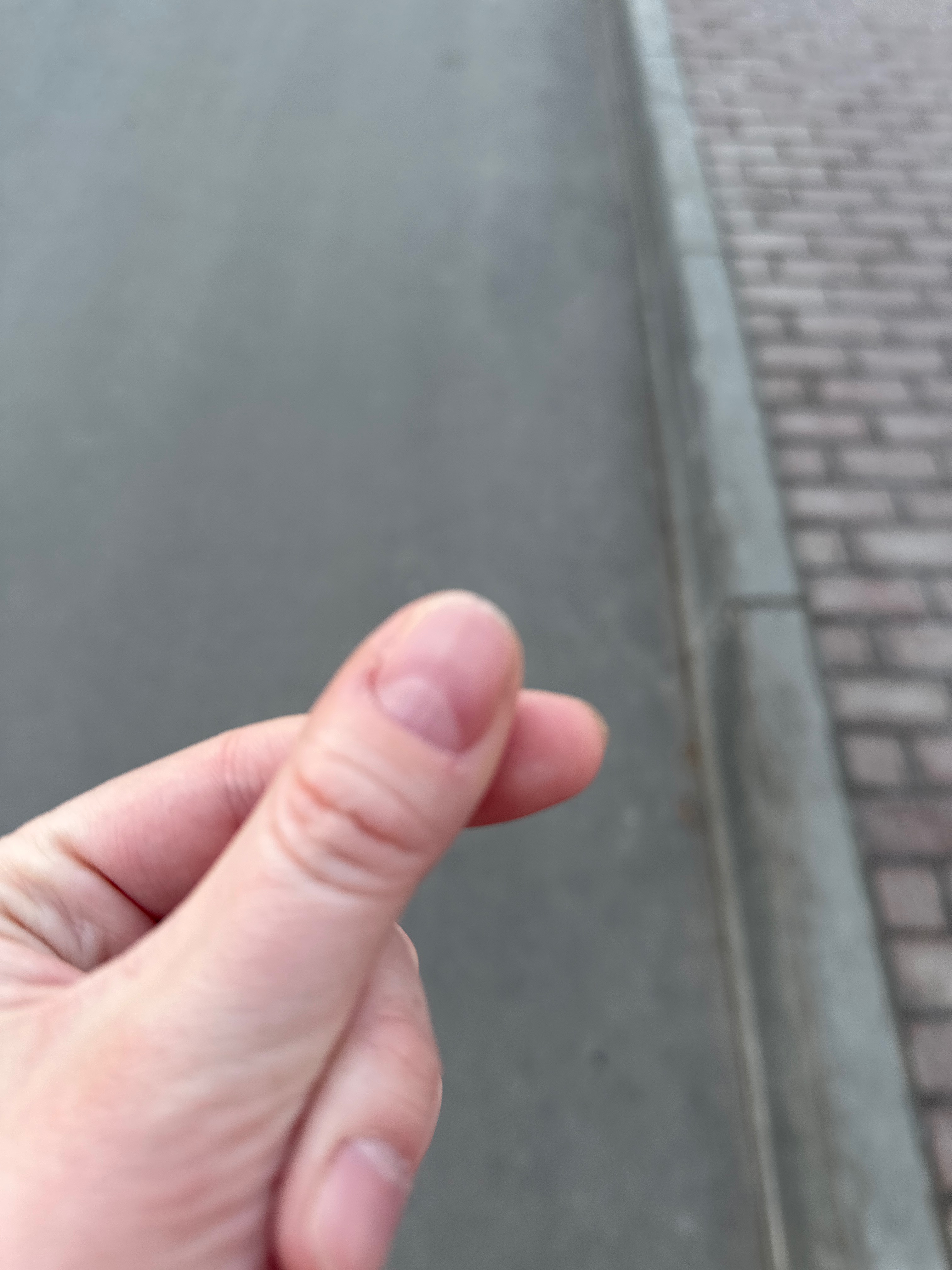 Участник BAMS ,женщина  hidden | НашЧат.РФ