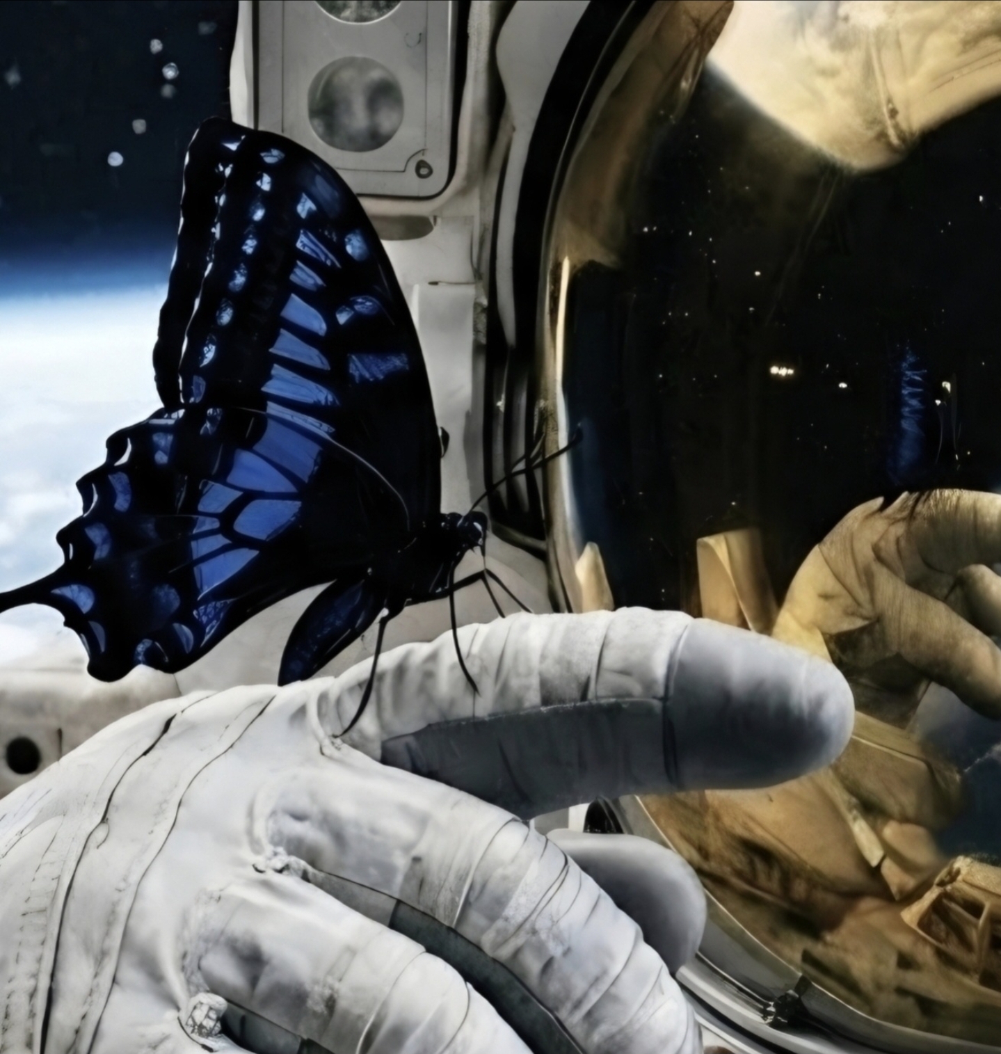 Участник GRADUS ,мужчина  Morrisville | НашЧат.РФ