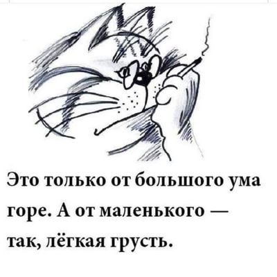 Участник DRAGONFLY ,мужчина ,50,  | НашЧат.РФ