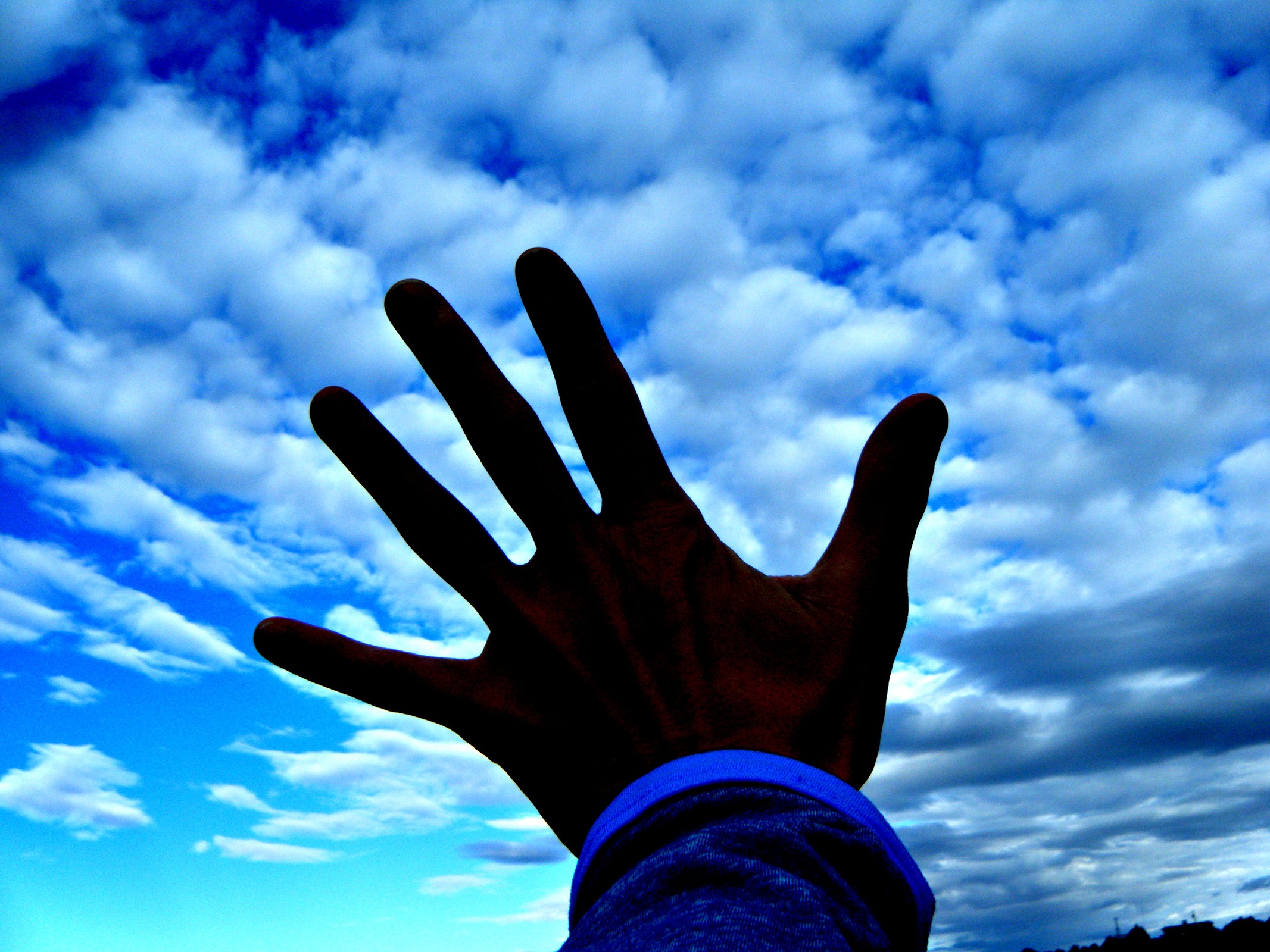 Участник TOUCH_THE_SKY ,мужчина  StPetersburg | НашЧат.РФ